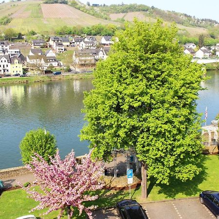 Pension Adelheid Moselhype&Wine Zell an der Mosel Dış mekan fotoğraf