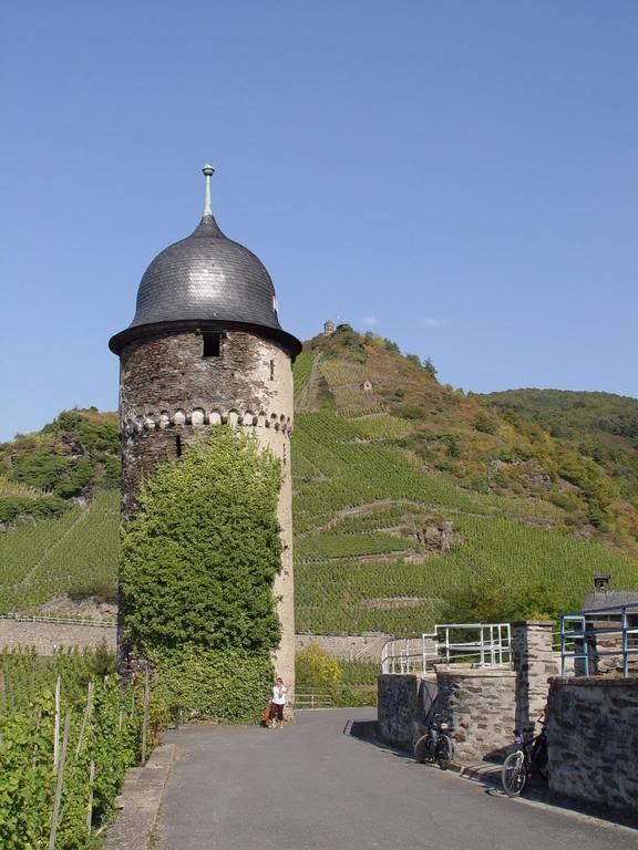 Pension Adelheid Moselhype&Wine Zell an der Mosel Dış mekan fotoğraf