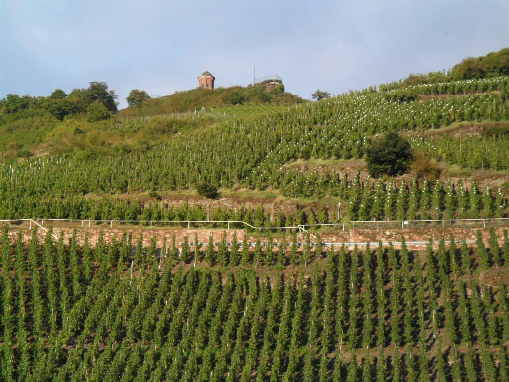 Pension Adelheid Moselhype&Wine Zell an der Mosel Dış mekan fotoğraf